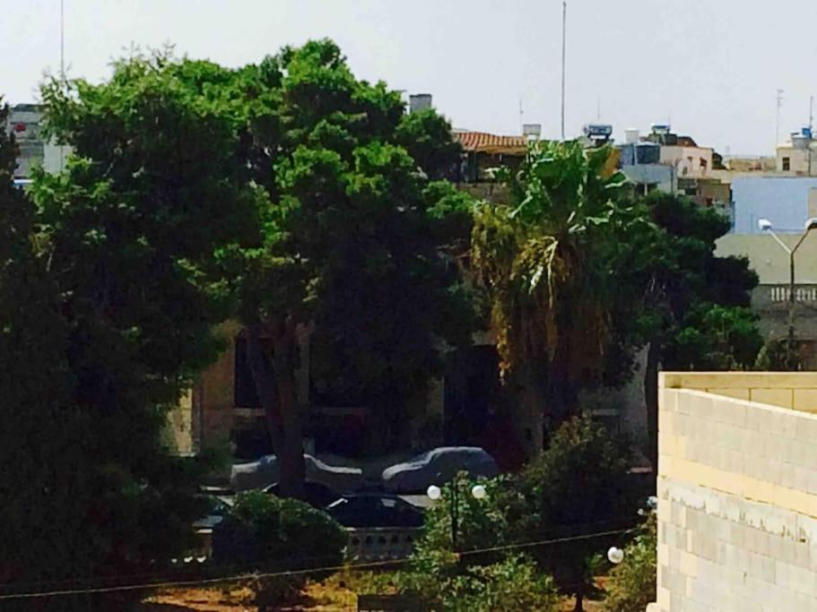 May Flower: Modern Flat Close To Airport/Bus Stops Tarxien Exterior photo